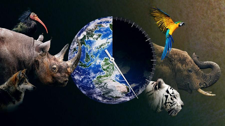 Μια νέα μελέτη προειδοποιεί ότι 1 στα 10 είδη θα μπορούσαν να χαθούν μέχρι το τέλος του αιώνα